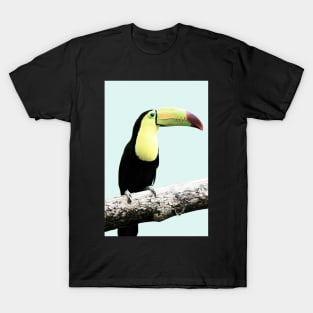 Parrot, Parrot on blue, Tropical bird, Minimal T-Shirt